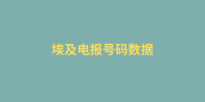 埃及电报号码数据